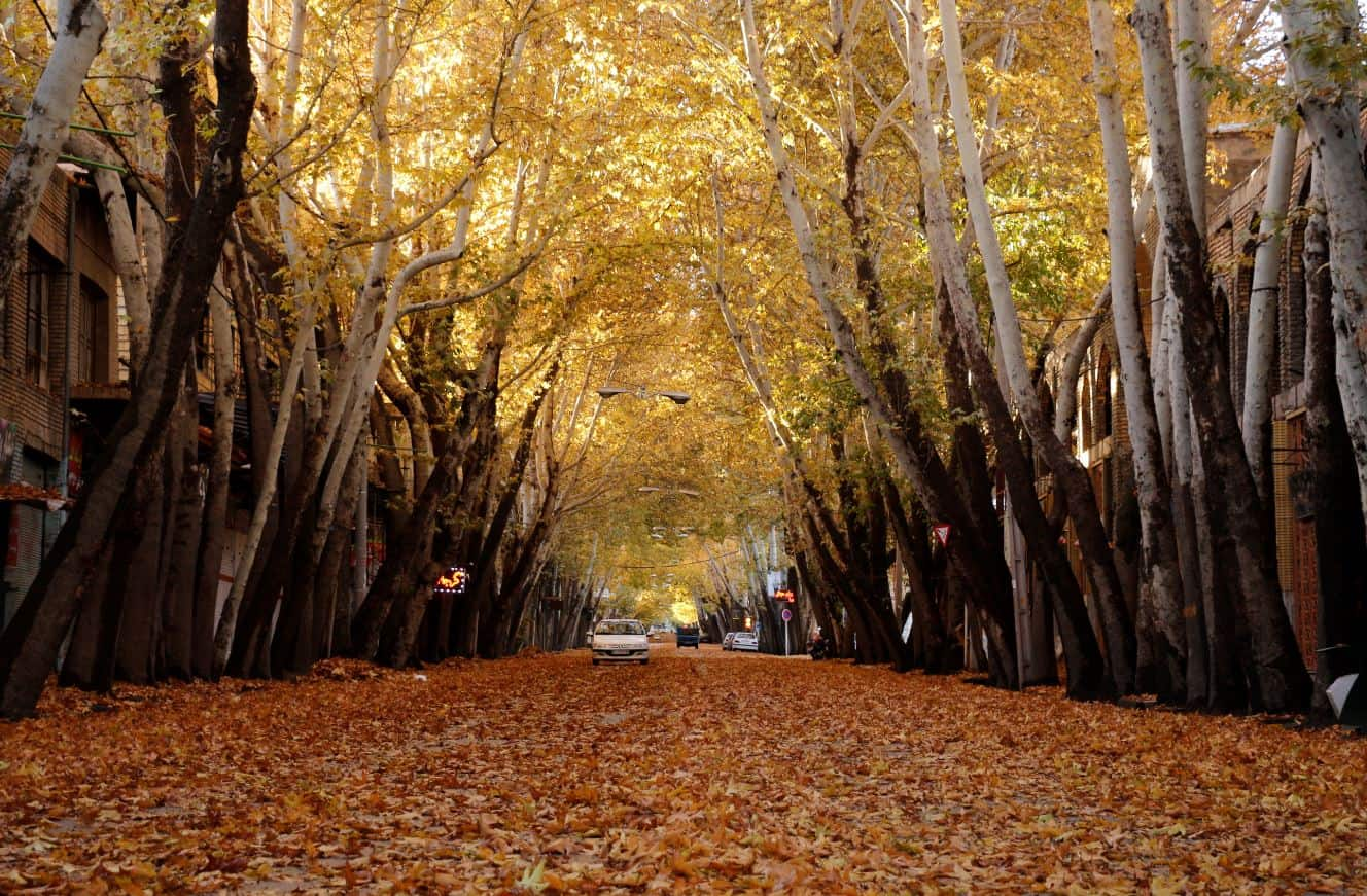 بهترین مقصدهای ایران برای سفر پاییزی